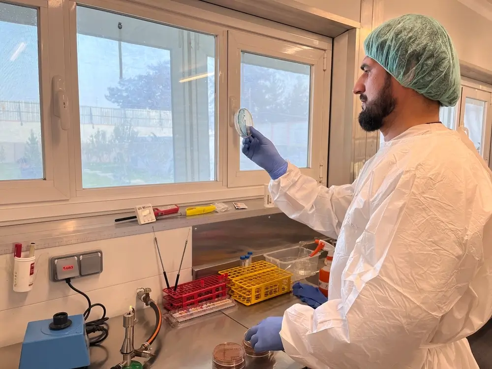 Un técnico de laboratorio del Hospital de Maternidad de MSF en Khost observa a través de la lente de un microscopio el nuevo Mini-Lab, un laboratorio de bacteriología clínica transportable a pequeña escala.