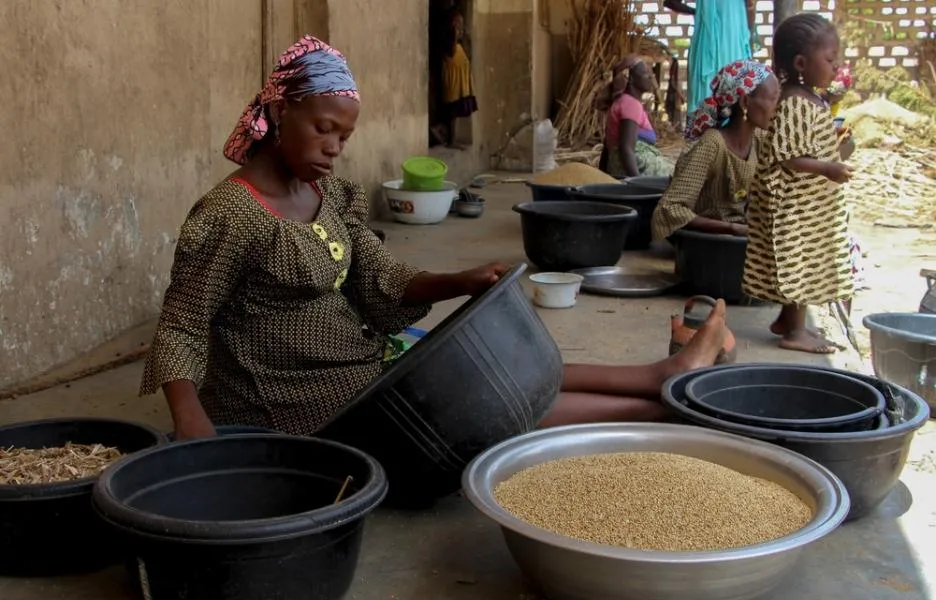 Rabi Suleiman*, una mujer desplazada y embarazada, recoge tallos de mijo, en el campo de desplazados internos del Área de Gobierno Local de Zurmi. Rami y su familia huyeron por la violencia e inseguridad.