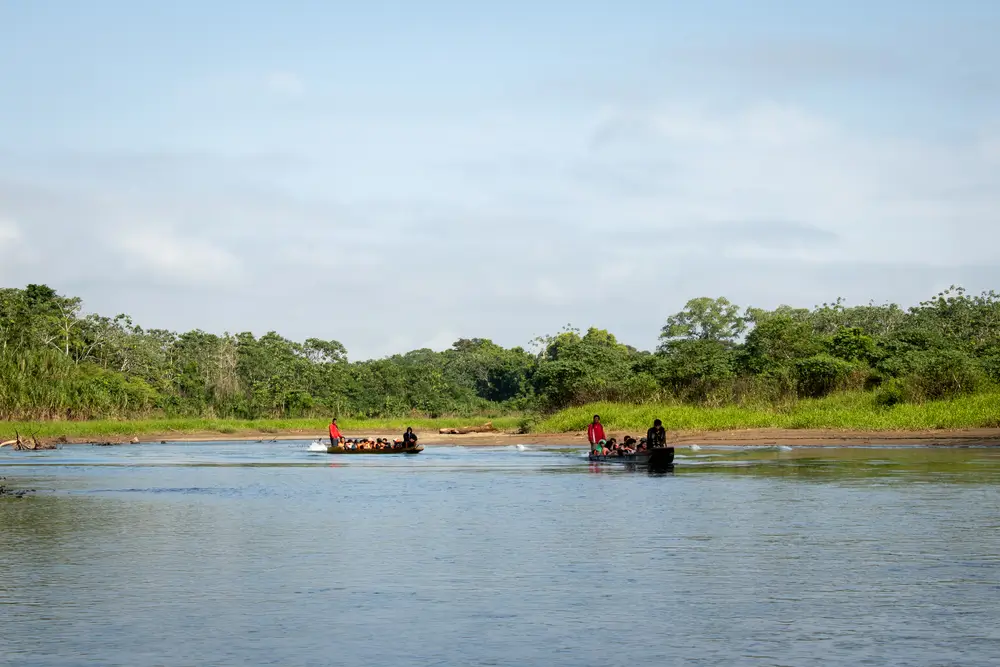 En algunos puntos de la selva del Darién, al sur de Panamá, los migrantes son transportados en piraguas o canoas con capacidad para hasta 20 personas hasta llegar a las estaciones de recepción.