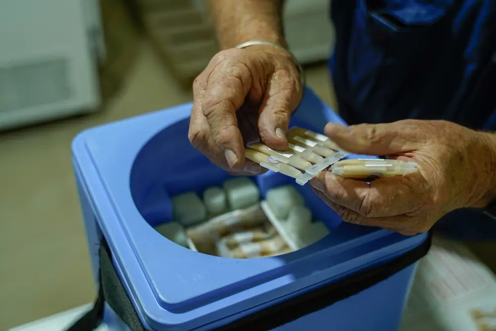Equipos de MSF preparan vacunas para la campaña de vacunación contra el cólera en Líbano.