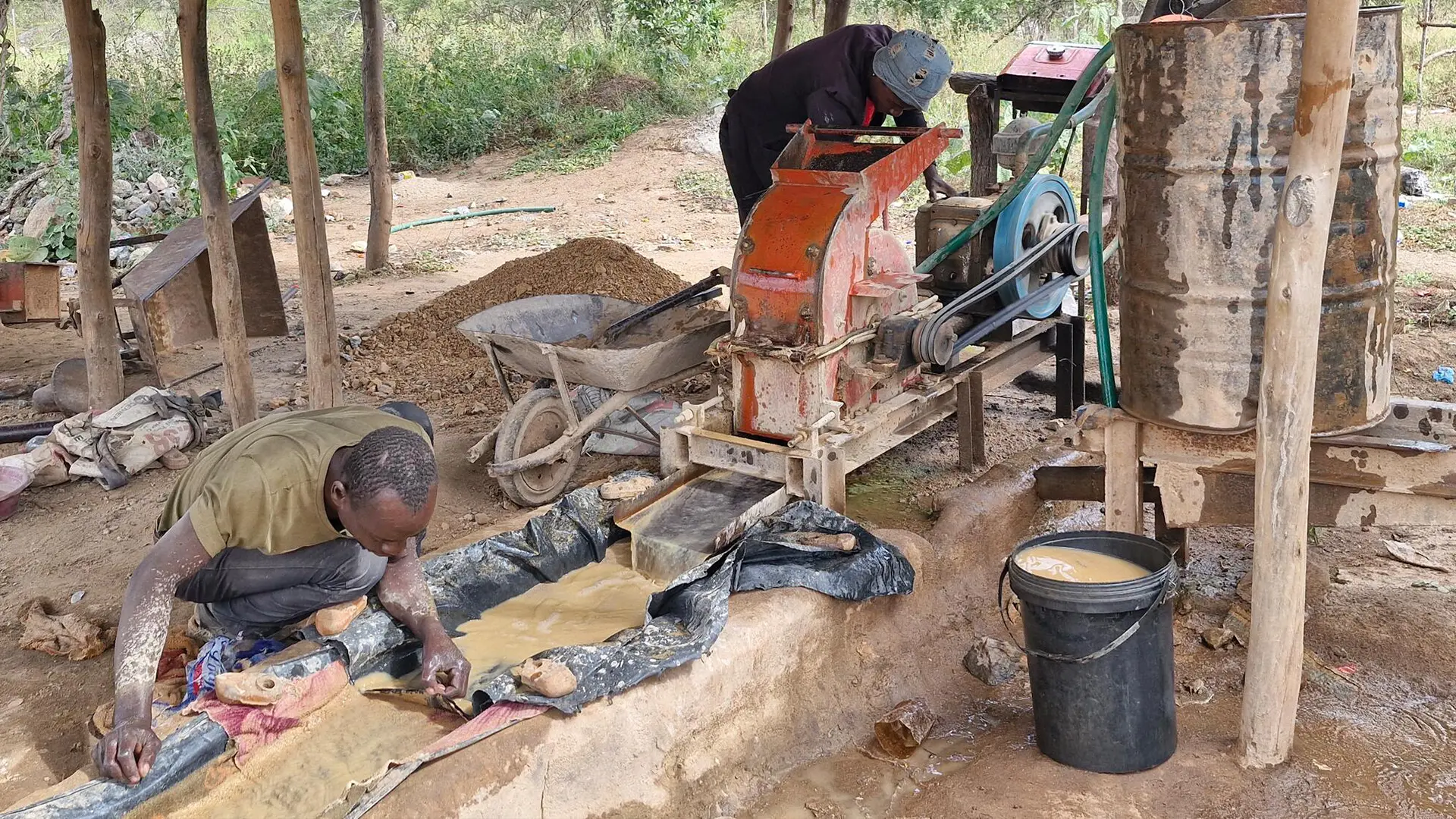 Un minero artesanal supervisa de cerca el proceso de separación de oro, utilizando equipos básicos y métodos simples para extraer oro del mineral triturado.