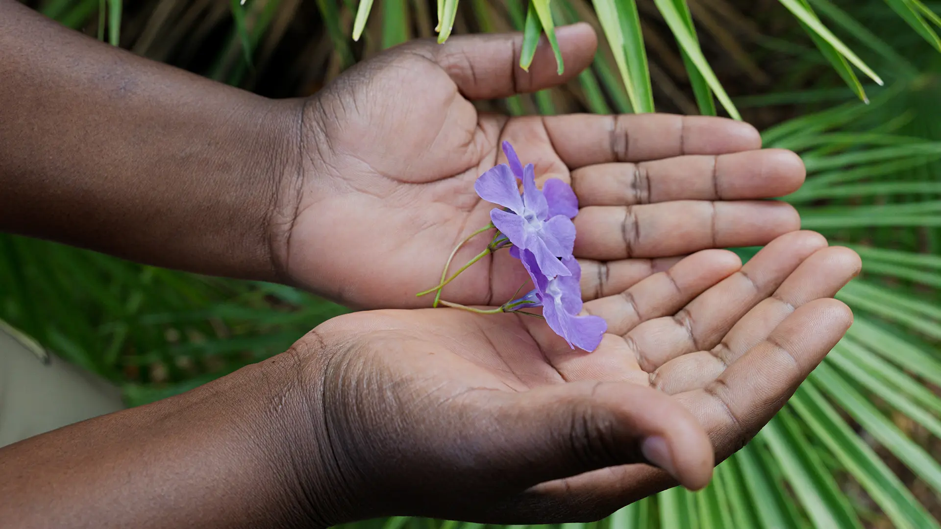 "La flor más grande es para mi hija Edvige: me gustaría volver a verla".Veronique lleva un pañuelo blanco en la cabeza con bordados dorados, se ve elegante.