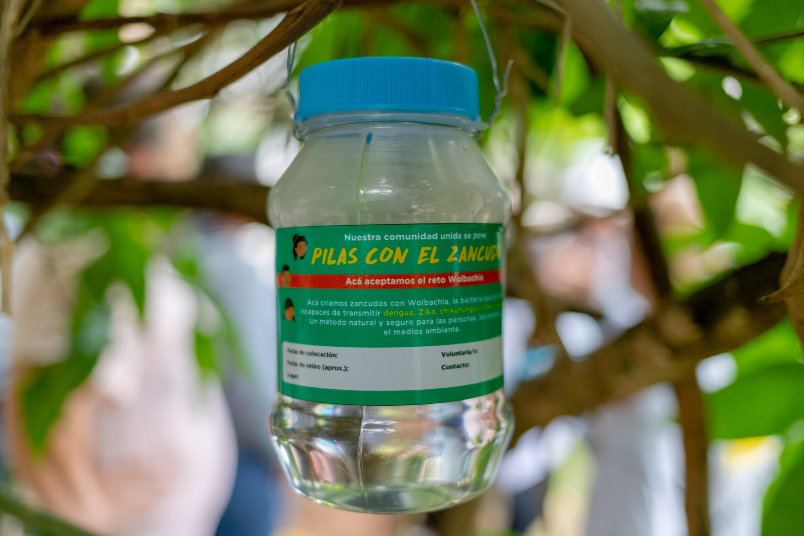 MSF y sus socios en Honduras implementan estrategias innovadoras de salud pública para reducir las enfermedades causadas por arbovirus