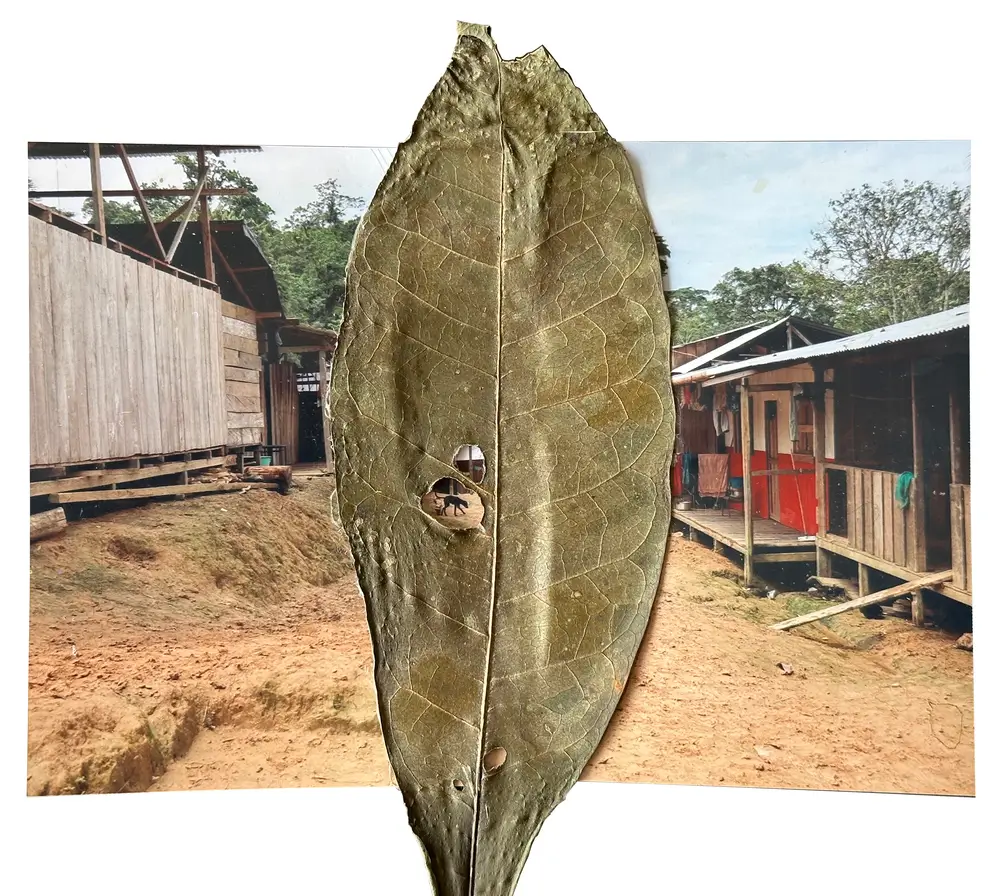 Fotografía de la calle principal de la comunidad, marcada por una incursión armada reciente. Puesto Indio, Alto Baudó, Chocó.