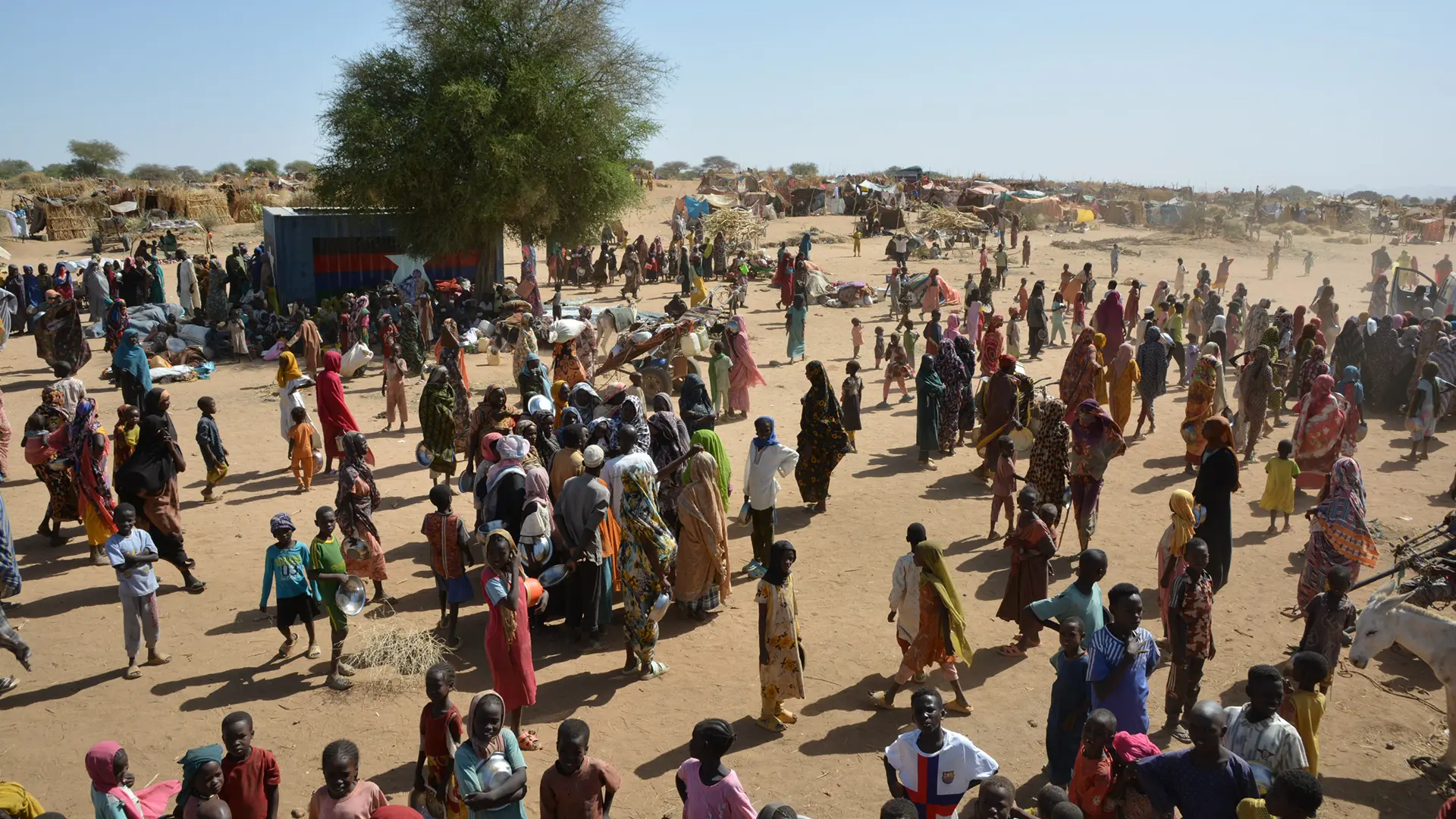 Imágenes de desplazamiento en Tawila y sus alrededores.